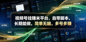 视频号挂賺米平台，自带脚本，长期能做，简单无脑，多号多賺【揭秘】-赚钱驿站