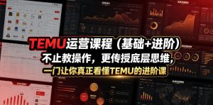 TEMU运营课程（基础+进阶），不止教操作，更传授底层思维，一门让你真正看懂TEMU的进阶课-赚钱驿站