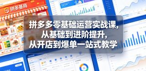 拼多多零基础运营实战课，从基础到进阶提升，从开店到爆单一站式教学-赚钱驿站