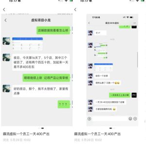 薅流虚拟2.0陪跑课，0成本AI流程化操作，淘宝+闲鱼同步玩法，上一次货两个平台有收益，单店每天200纯利润-赚钱驿站