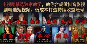 电视剧精选独家教学，教你合规做抖音影视剧精选短视频，低成本打造持续收益账号-赚钱驿站