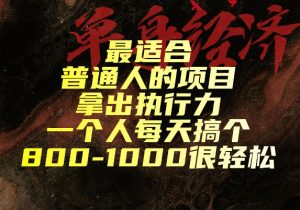 最适合普通人的项目,拿出执行力一个人每天搞个800-1k很轻松【揭秘】-赚钱驿站