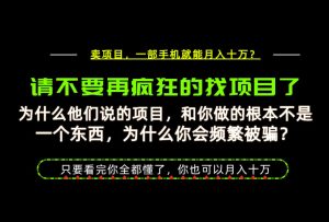 为什么做项目的人大多都是炮灰？为什么只有卖项目才能稳？看完你也可以月入10W+【揭秘】-赚钱驿站