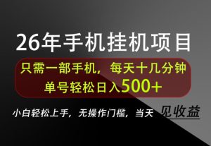 长期稳定可做,只需一部手机!单号轻松日入500+,不搞套路,只讲干货!【揭秘】-赚钱驿站