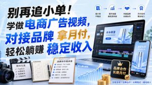 别再追小单！学做电商广告视频，对接品牌拿月付，轻松躺賺稳定收入【原创双语字幕】-赚钱驿站