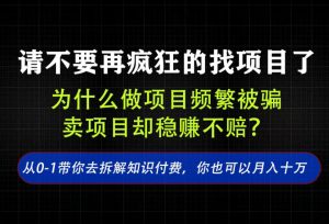 找项目?别傻了!卖项目才是真的一本万利!看完你全都懂了【揭秘】-赚钱驿站