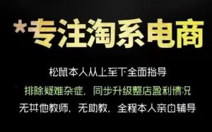 松鼠会电商VIP课程，从基础布局到高阶优化，助你掌握淘宝运营逻辑，提升店铺流量与转化（更新0823）-赚钱驿站