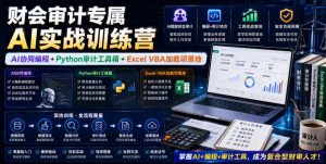 财会审计专属AI实战训练营｜AI协同编程+Python审计工具箱+Excel VBA加载项落地（更新0816）-赚钱驿站