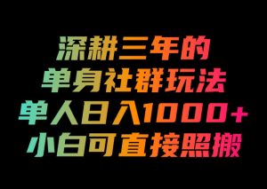 深耕三年的单身社群玩法，单人日入1000+，小白可直接照搬！【揭秘】-赚钱驿站