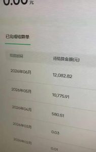 汽水音乐人项目，暴力自然流打法，不需要你会唱歌、会写歌，用AI生成上传，靠自然流賺播放收益-赚钱驿站