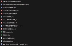 TikTok从0-1实操资料包:养号SOP+爆款公式+投流手册,新手30天可起号变现,抓住TikTok流量红利-赚钱驿站