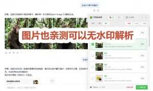 太香了!这款千问视频/图片去水印神器,一键搞定烦人水印,本地完全免费,浏览器拓展插件-赚钱驿站