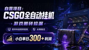 自营项目：CSGO全自动挂G，游戏搬砖捡漏，软件科技简单易用，长期稳定，小白单日300+利润【揭秘】-赚钱驿站