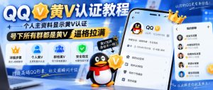 QQ黄V认证教程，个人主资料显示黄V认证，号下所有群都是黄V，逼格拉满-赚钱驿站