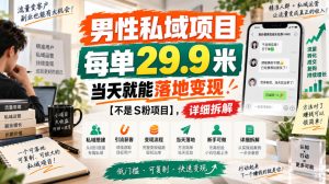 男性私域项目，每单29.9米，当天就能落地变现【不是S粉项目】，详细拆解-赚钱驿站
