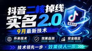 抖音二核掉线十名2.0，9月最新技术，外来技术，效果自测-赚钱驿站
