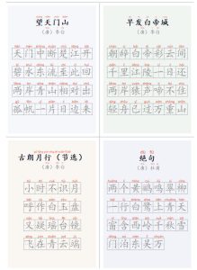 学习神器,汉字拼音字帖生成器,汉字+拼音 一键生成字帖/默写/填空卷,支持词组、成语,老师、家长必备-赚钱驿站