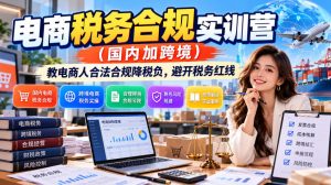电商税务合规实训营(国内加跨境),教电商人合法合规降税负,避开税务红线-赚钱驿站