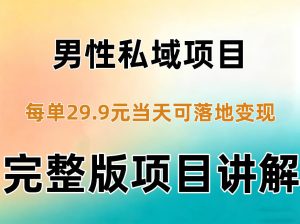 男性私域项目每单29.9,当天就能落地变现【不是S粉项目】详细拆解-赚钱驿站