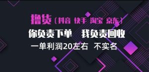 抖音淘宝快手买手项目,一单利润20左右,单号每天下三单,可矩阵【揭秘】-赚钱驿站