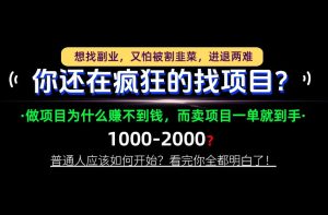你还在疯狂的找项目?别傻了!卖项目才是真正的一本万利!怎么做,看完你全都明白!【揭秘】-赚钱驿站