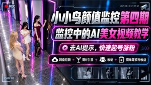小小鸟颜值监控第四期，监控中的AI美女视频教学，去AI提示，快速起号涨粉，网盘拉新+商K引流+收徒+商单等多种收益-赚钱驿站