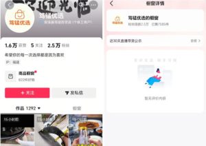 无需实拍也能做好抖音车载带货项目,收益非常稳定,每天坚持发就可以!-赚钱驿站