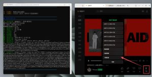 Github热门工具,视频号下载神器又来了!一键注入下载按钮,轻松下载,使用便捷wx_channel-赚钱驿站